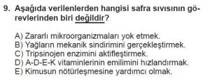 12. Sınıf Biyoloji Test 2 Soru-9