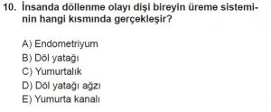 12. Sınıf Biyoloji Test 20 Soru-10