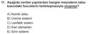 12. Sınıf Biyoloji Test 20 Soru-11