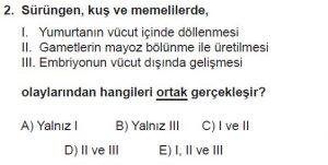 12. Sınıf Biyoloji Test 20 Soru-2