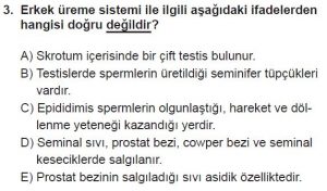 12. Sınıf Biyoloji Test 20 Soru-3