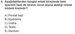 12. Sınıf Biyoloji Test 20 Soru-4