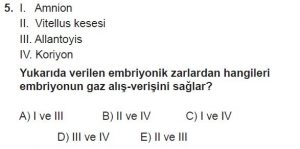 12. Sınıf Biyoloji Test 20 Soru-5