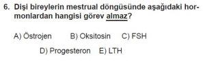 12. Sınıf Biyoloji Test 20 Soru-6