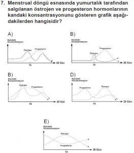 12. Sınıf Biyoloji Test 20 Soru-7