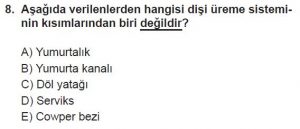 12. Sınıf Biyoloji Test 20 Soru-8