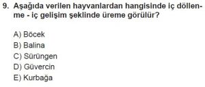 12. Sınıf Biyoloji Test 20 Soru-9