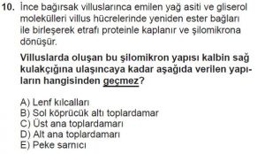 12. Sınıf Biyoloji Test 3 Soru-10