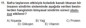 12. Sınıf Biyoloji Test 3 Soru-11