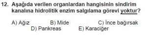12. Sınıf Biyoloji Test 3 Soru-12