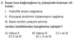 12. Sınıf Biyoloji Test 3 Soru-2