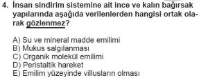 12. Sınıf Biyoloji Test 3 Soru-4