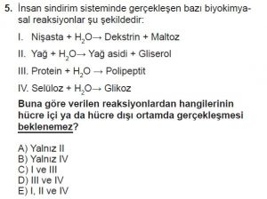 12. Sınıf Biyoloji Test 3 Soru-5