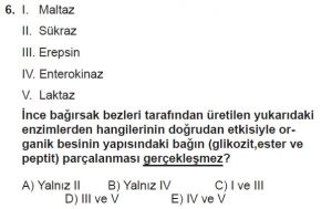 12. Sınıf Biyoloji Test 3 Soru-6