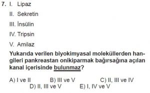 12. Sınıf Biyoloji Test 3 Soru-7