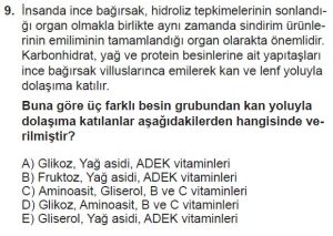 12. Sınıf Biyoloji Test 3 Soru-9