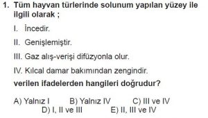 12. Sınıf Biyoloji Test 4 Soru-1