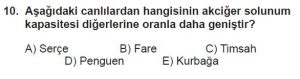 12. Sınıf Biyoloji Test 4 Soru-10