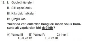 12. Sınıf Biyoloji Test 4 Soru-12