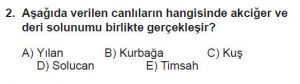12. Sınıf Biyoloji Test 4 Soru-2