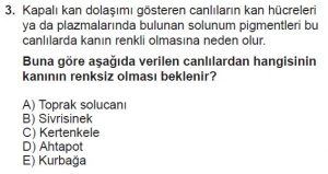 12. Sınıf Biyoloji Test 4 Soru-3
