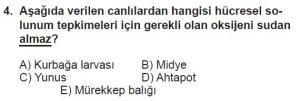 12. Sınıf Biyoloji Test 4 Soru-4