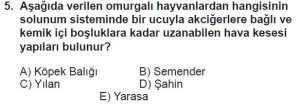 12. Sınıf Biyoloji Test 4 Soru-5