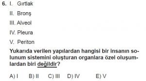 12. Sınıf Biyoloji Test 4 Soru-6