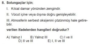 12. Sınıf Biyoloji Test 4 Soru-8