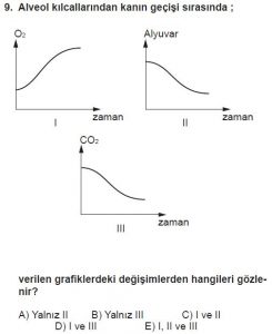 12. Sınıf Biyoloji Test 4 Soru-9
