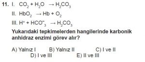 12. Sınıf Biyoloji Test 5 Soru-11