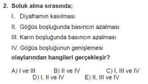 12. Sınıf Biyoloji Test 5 Soru-2
