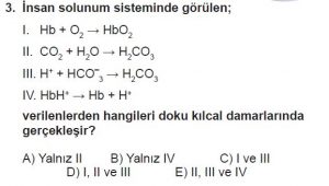 12. Sınıf Biyoloji Test 5 Soru-3
