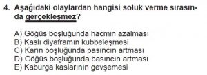 12. Sınıf Biyoloji Test 5 Soru-4