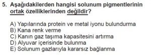 12. Sınıf Biyoloji Test 5 Soru-5