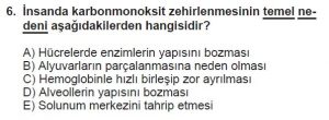 12. Sınıf Biyoloji Test 5 Soru-6