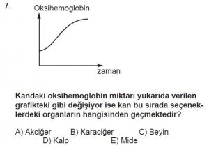 12. Sınıf Biyoloji Test 5 Soru-7