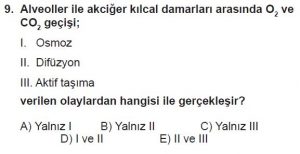 12. Sınıf Biyoloji Test 5 Soru-9