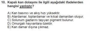 12. Sınıf Biyoloji Test 6 Soru-10