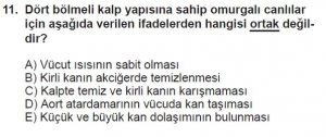 12. Sınıf Biyoloji Test 6 Soru-11