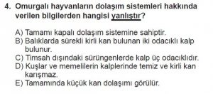 12. Sınıf Biyoloji Test 6 Soru-4