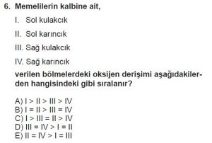 12. Sınıf Biyoloji Test 6 Soru-6