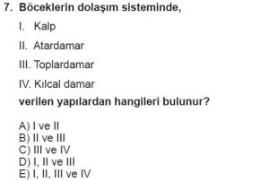 12. Sınıf Biyoloji Test 6 Soru-7