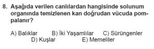 12. Sınıf Biyoloji Test 6 Soru-8