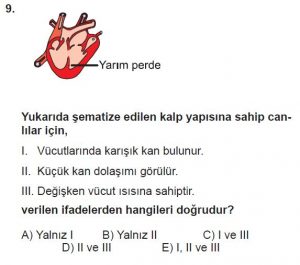 12. Sınıf Biyoloji Test 6 Soru-9