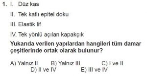 12. Sınıf Biyoloji Test 7 Soru-1