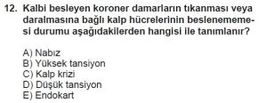 12. Sınıf Biyoloji Test 7 Soru-12