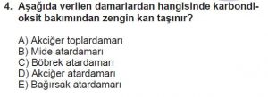 12. Sınıf Biyoloji Test 7 Soru-4