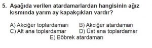 12. Sınıf Biyoloji Test 7 Soru-5