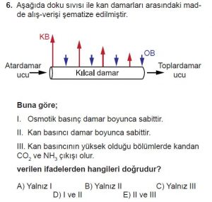 12. Sınıf Biyoloji Test 7 Soru-6
